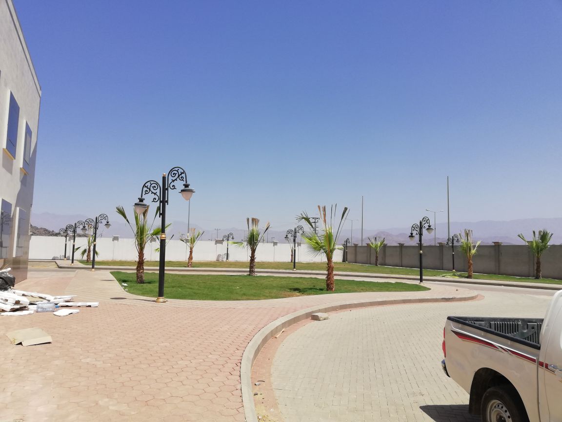 الحديقة المركزية — صورة 2
